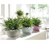 VASO DA GIARDINO CIOTOLA NAXOS 30 CM CON SOTTOVASO AZZURRO PASTELLO
