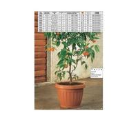 Vaso da terra per piante e fiori colore terracotta 40 cm bama