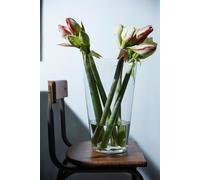 Vaso Decorativo Conico Rotondo H. 40Cm D. 25Cm Trasparente In Vetro