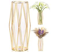 Vaso Decorativo da Interno in Vetro con Supporto Metallico Geometrico, Terrario Cristallino, Vaso in Vetro per Piante Idroponiche e Fiori, Centrotavola Matrimonio e Decorazione d'Interni