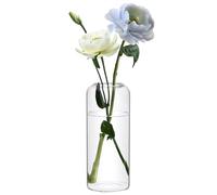 Vaso Decorativo in Vetro Trasparente, Vaso Alto per Fiori da Interno, Vaso Moderno e Cilindrico per Tulipani e Piante, Centrotavola Elegante per Casa, Matrimonio, Soggiorno e Tavolo da Pranzo (20cm)