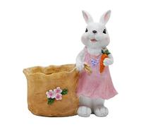 Vaso decorativo per piante grasse a forma di coniglietto, adorabile coniglio, 20 cm, decorazione pasquale da giardino, primavera, fiori, piante grasse, contenitore per la decorazione della casa e