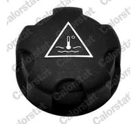 Vaso di espansione, liquido di raffreddamento CALORSTAT BY VERNET DS5 2 2011-