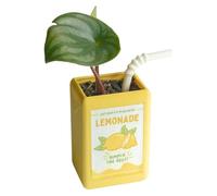 Vaso Di Fiori Estetici - Fun Flower Pot | Miniss In Legno Al Coperto, Porta A Penna, Contenitore Di Erbe Piccole, Vaso Elegante Effetto Decorativo Di Piantatrici Coppia