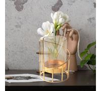 VASO DI FLOORE PER ORGANIZZATORE POTTO PER PIANTA DELL'AMPORE PER IL VEDE