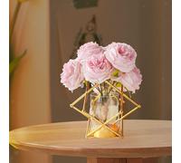 VASO DI FLOORE PER ORGANIZZATORE POTTO PER PIANTA DELL'AMPORE PER IL VEDE