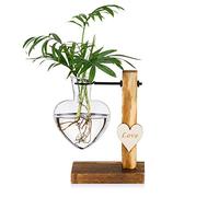 Vaso Di Gemme Di Vetro Con Supporto In Legno, Vasi Idroponici Creativi A Cuore Singolo In Vetro, Vaso Moderno Con Lampadina Per Fioriera Da Tavolo Con Stazione Di Propagazione Per Piante Moderne