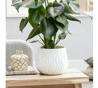 Vaso di lusso in resina con foro di drenaggio e vassoio, adatto per piante da interno, vaso decorativo in plastica per piante come sansevieria, albero dei soldi, uccello del paradiso, mirtillo e altro
