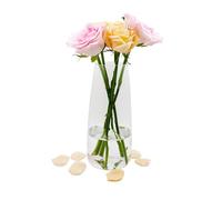 Vaso di vetro per fiori, vaso di vetro trasparente moderno Ins, vaso di vetro alto 22 CM per la decorazione della tavola, vasi decorativi per erba di pampa, tulipani, orchidee, rose (trasparente)