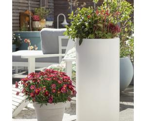 Vaso Elegante Luminoso XL 32362 8 Seasons Design