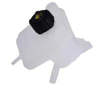 Vaso Espansione Acqua Compatibile Con Nissan Per Dualis J10 2007 2008 2009 2010 2011 2012 2013 2014 2015 2016 Serbatoio Di Espansione Liquido Raffreddamento Del Motore Dell'auto 21721-JD00B