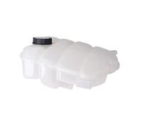 Vaso espansione radiatore Compatibile Con Ford Per MK5 2015 2016 2017 2018 Radiatore Pressurizzato Bottiglia Di Troppo Pieno Serbatoio Accessori Auto