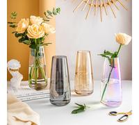 Vaso Fiori Per Tulipani Piccola Pianta Finta Di Idroponico