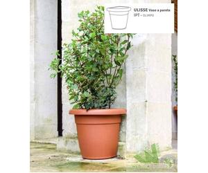 VASO FIORI SEMICERCHIO MURO PARETE TELCOM ULISSE 45X37XH40 CM ESTERNO PLASTICA