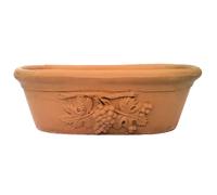 Vaso fioriera ovale grappolo uva terracotta piante aromatiche grasse balcone