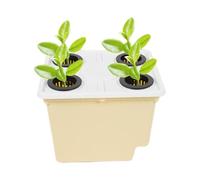 Vaso idroponico, kit di coltivazione senza suolo, secchi da 30 cm con sistema di drenaggio, supporto per piante da interno, contenitore da giardinaggio con costruzione, secchio per coltivare pomodori