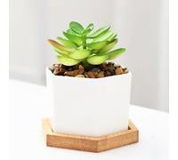 Vaso in ceramica da 101,6 cm, per piante grasse, mini vaso da giardino carino per piante da giardino, vasi per piante grasse, fioriere per piante da interno, piccolo esagonale bianco 3