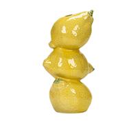 Vaso in Ceramica per Boccioli di Frutta, Contenitore per Piante, Accessorio