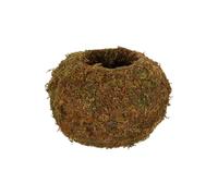 Esschert Design Pallina Kokedama - M