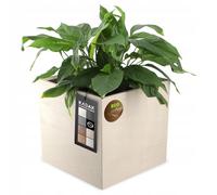 Fioriera KADAX in plastica, con ruote, effetto cemento