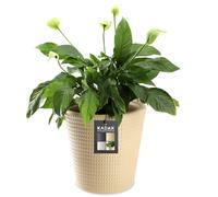 Vaso in plastica KADAX, vaso, 30 cm, crema