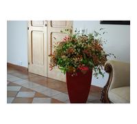 Vaso in Polimero Monacis PRISMA SQUARE da tavolo o da terra h 50 dimensioni 33x33x h 50 cm Capacità 32 Lt adatto interno esterno colore VIOLA viola
