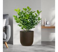 Vaso in resina da esterno interno per piante cilindro di design d.35x34h Raff...