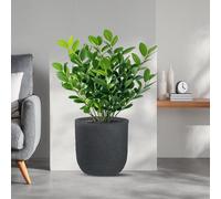 Vaso in resina da esterno interno per piante cilindro di design d.35x34h Raff...