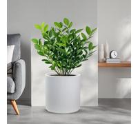 Vaso in resina da esterno interno per piante tondo cilindrico di design d.36x...