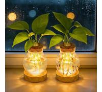 Vaso in Vetro a LED: 2 Pezzi Vaso in Vetro Con Luce LED, Contenitore per Piante Idroponiche Con Base in Legno Naturale Portaoggetti per Ornamenti Domestici (Trasparente)