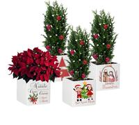 Vaso Natalizio personalizzato per Maestra fioriera ceramica personalizzabile idea regalo Natale insegnanti pesniero orignale vaso per fiori