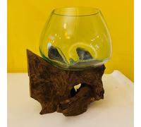 Vaso Orchidee Vetro Radice Ampolla Acquario