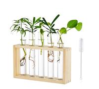 Vaso Parete Interno Fiori Vetro: Decorativi Moderni Vasi Provetta Porta Con Supporto In Legno Eleganti Stazione Di Propagazione Per Talee Piante Idroponico Tavolo