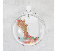 Vaso Parete Porta Piante Per Acquario Pesce Appeso Al Muro