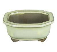 Vaso per bonsai Giapponese Morrisan rettangolare in gres smaltato bianco 15x12x6