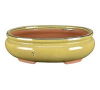 Vaso per bonsai ovale in gres smaltato giallo senape 27,5x22x8 cm - GA14