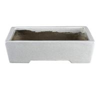 Vaso per bonsai rettangolare in gres smaltato bianco effetto crepato 36x24x10 cm