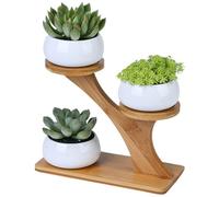 Vaso per Cactus 3 vasi per Piante grasse con Supporto per Piante a 3 Livelli,Piccoli vasi Rotondi in Ceramica con drenaggio Fioriere per Piante grasse con Supporto in bambù per Decorazioni,Stile 2