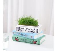 Vaso per fiori Carino Piccolo Vaso per piante a forma di libro per ripiano