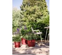 Vaso per fiori - ELHO - Amiga Round 35 - Rosso - L 35 x P 34,5 x H 26 cm - Esterno - 100% riciclato