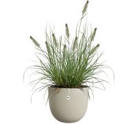 Vaso per fiori - ELHO - Sereh Round 30 - Beige - L 30 x P 29,5 x H 25 cm - 100% riciclato
