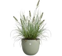 Vaso per fiori - ELHO - Sereh Round 40 - Verde - Ø 39 x H 33 cm - 100% riciclato
