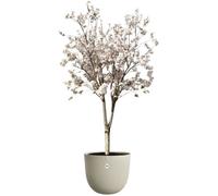 Vaso per fiori - ELHO - Sereh Round 47 - Beige - Ø 47 x H 40 cm - 100% riciclato