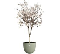 Vaso per fiori - ELHO - Sereh Round 47 - Verde - Ø 47 x H 40 cm - 100% riciclato