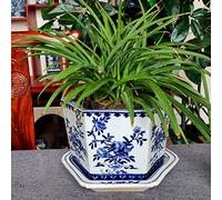 Vaso per Fiori in Ceramica cineserie con Foro di drenaggio e sottovaso collegato Vasi per Piante da Fiori in Porcellana Blu e Bianca Dipinti a Mano di Jingdezhen per Piante