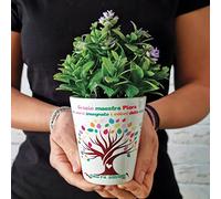 Vaso per fiori regalo per la maestra Albero della vita Vasetto personalizzato con classe e i nomi dei bambini
