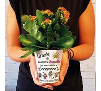 Vaso per fiori regalo per la maestra Bimbi Allegri Vasetto personalizzato con classe e i nomi dei bambini