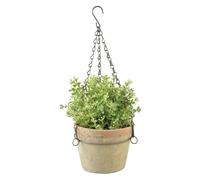 Vaso per Fiori Terracotta At Pentola Pendenti L Terrazza Hanging Giardino Pianta