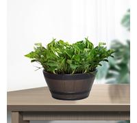 Vaso per fioriera a botte di whisky grande - Barile di resina 12" Resina