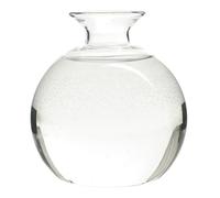 Vaso per ghiande per piante Vaso idroponico trasparente per semi e bulbi di avocado Stazione di propagazione in vetro borosilicato alto da 4, 72 pollici Decorazione da giardinaggio per interni